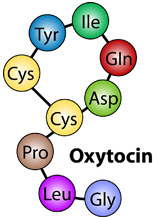 Social Intelligence and Oxytocin