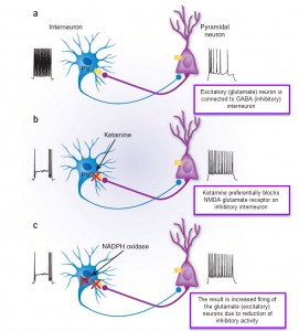ketamine for depression - GABA interneuron effects