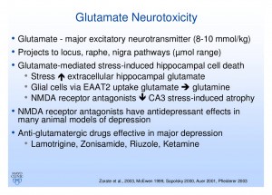 Glutamate Neurotoxicity and Depression