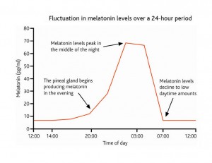 melatonin and time of day